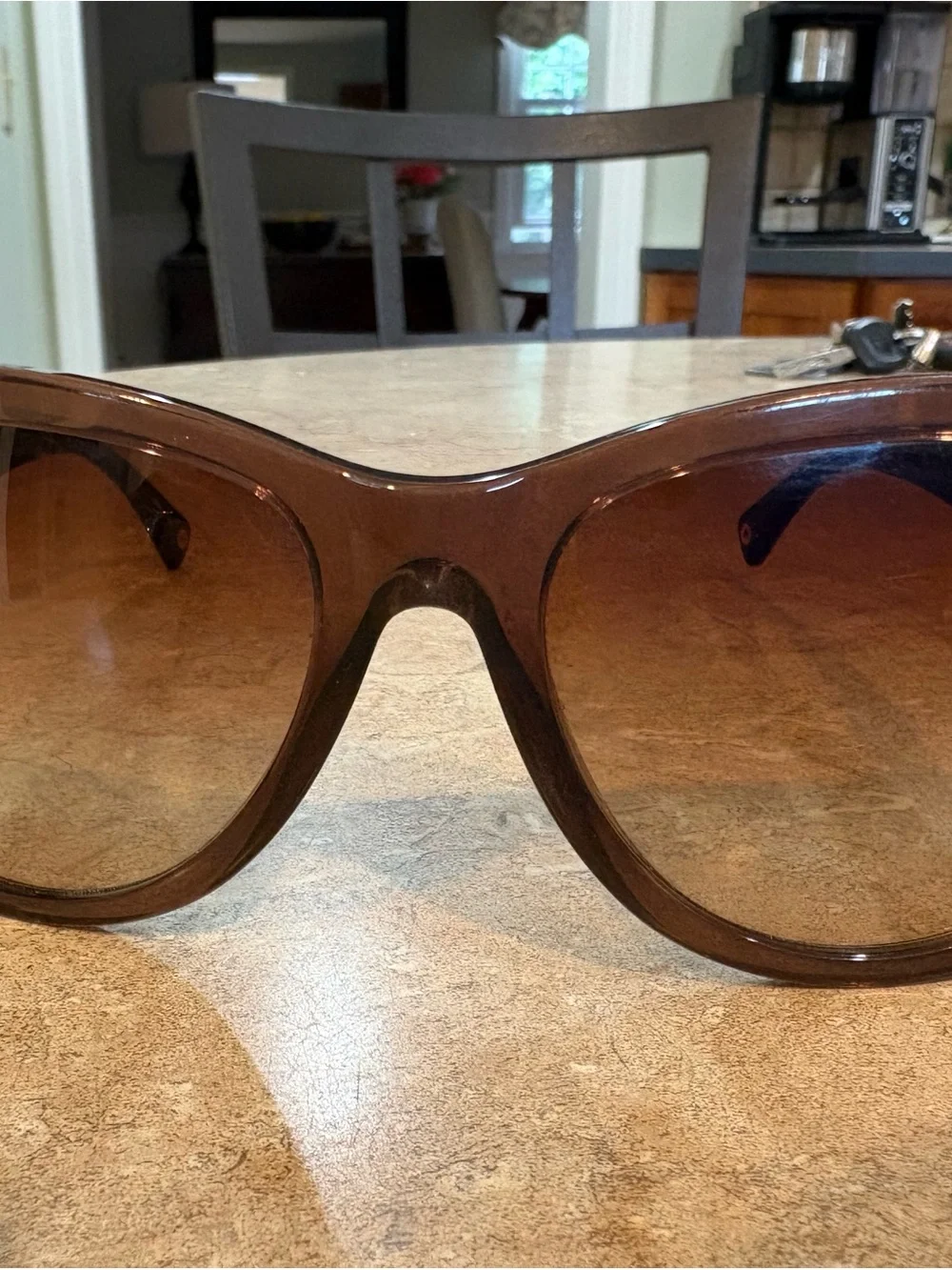 Coach Joelle Brown Gradient Cat-Eye Sunglasses